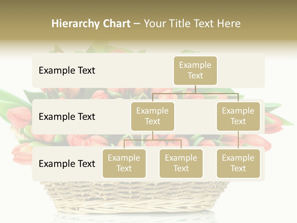Fresh Straw Isolated PowerPoint Template