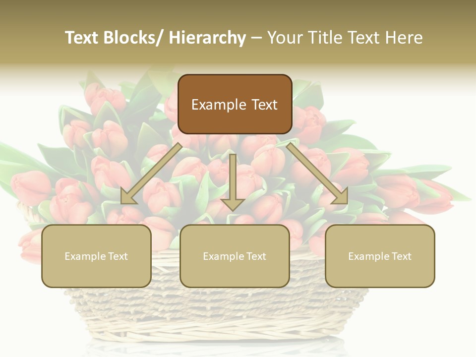 Fresh Straw Isolated PowerPoint Template