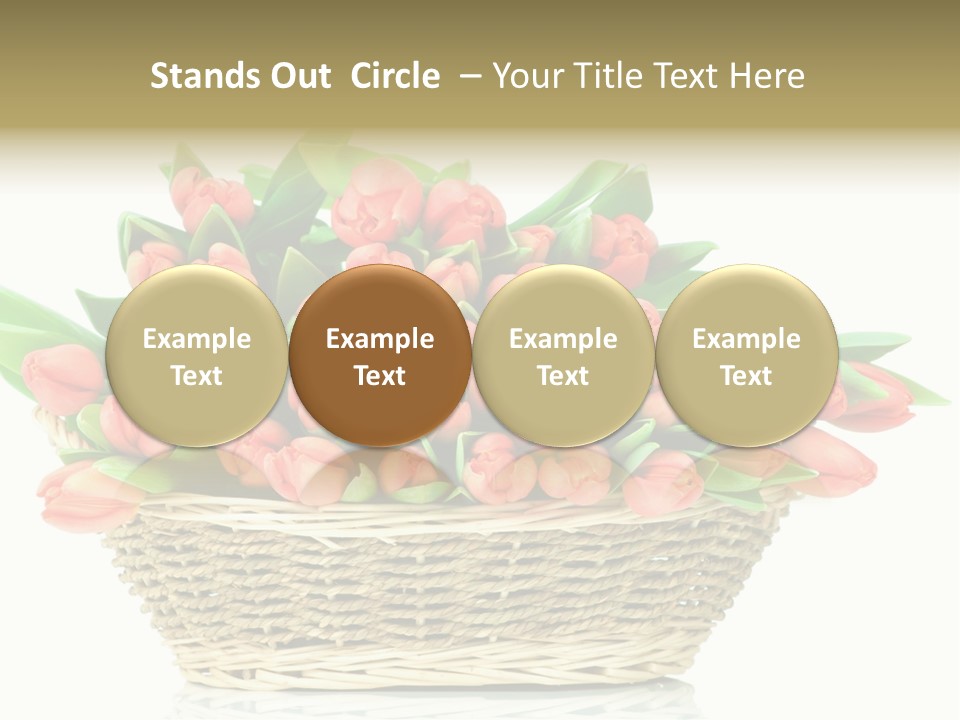 Fresh Straw Isolated PowerPoint Template