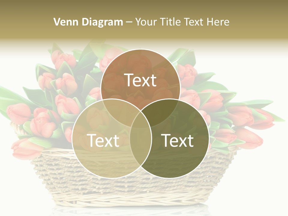 Fresh Straw Isolated PowerPoint Template