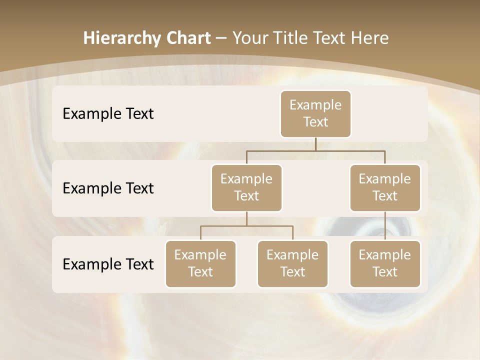 Li Ten Office Human PowerPoint Template