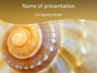 Group Room Humorou PowerPoint Template