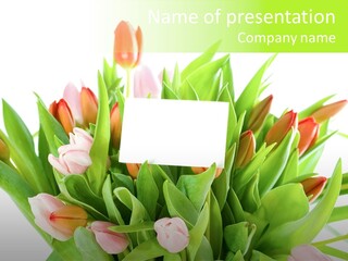 Flower Blooming Green PowerPoint Template