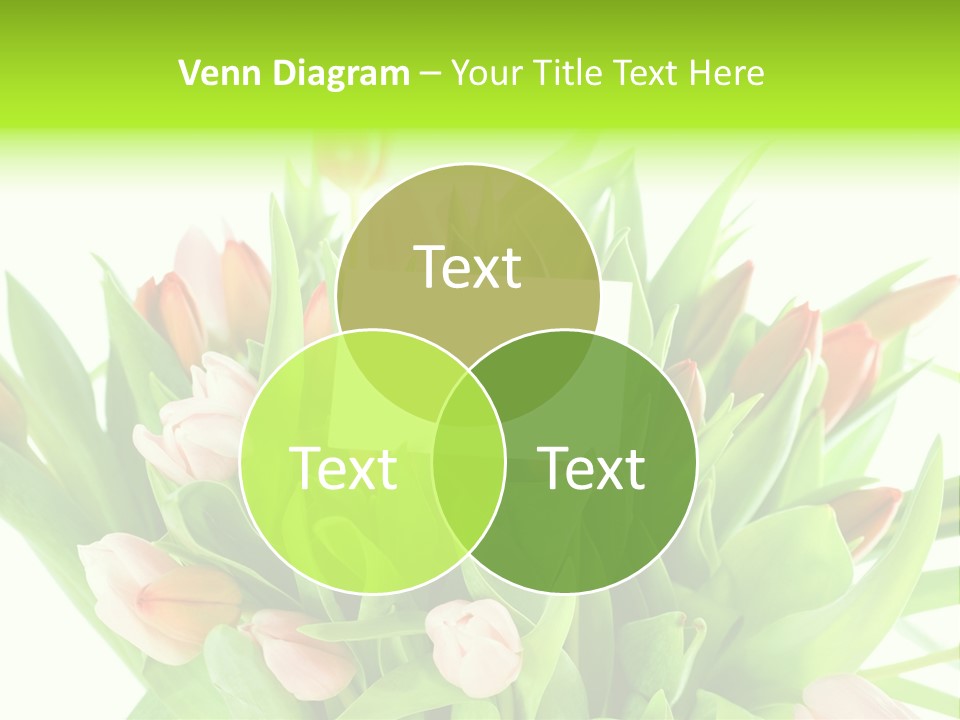 Flower Blooming Green PowerPoint Template