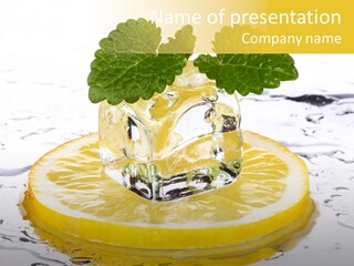 Citrus Cold Tropical PowerPoint Template