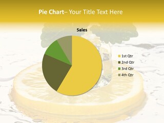 Citrus Cold Tropical PowerPoint Template