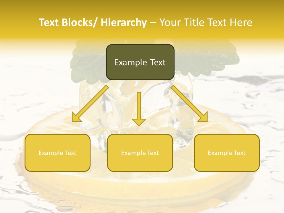 Citrus Cold Tropical PowerPoint Template