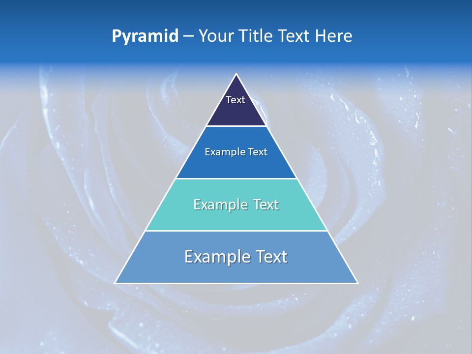 Blue Roses PowerPoint Template