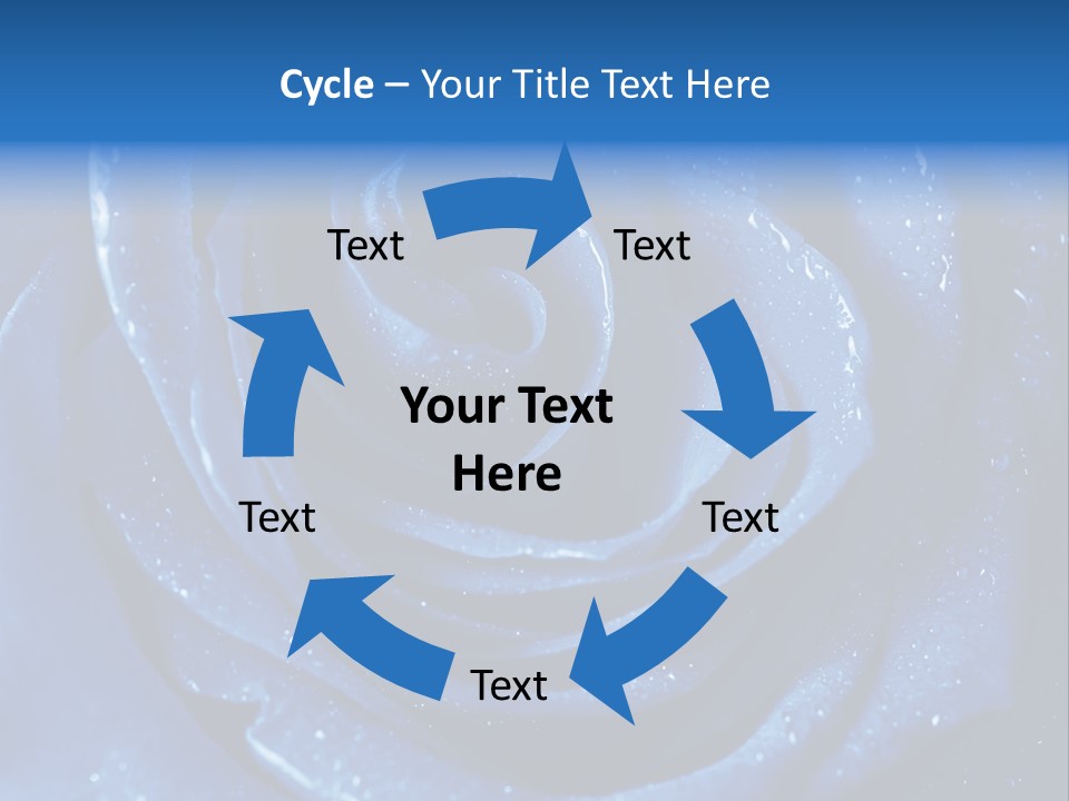 Blue Roses PowerPoint Template