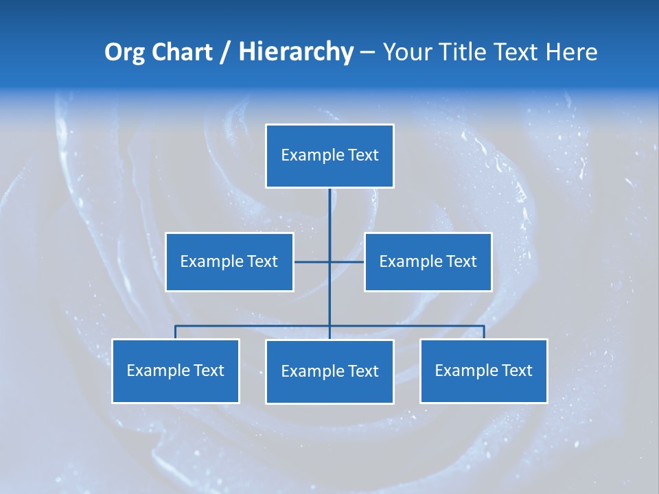 Blue Roses PowerPoint Template