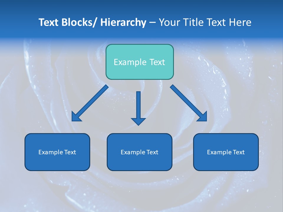 Blue Roses PowerPoint Template