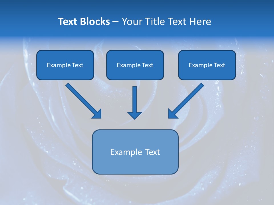 Blue Roses PowerPoint Template
