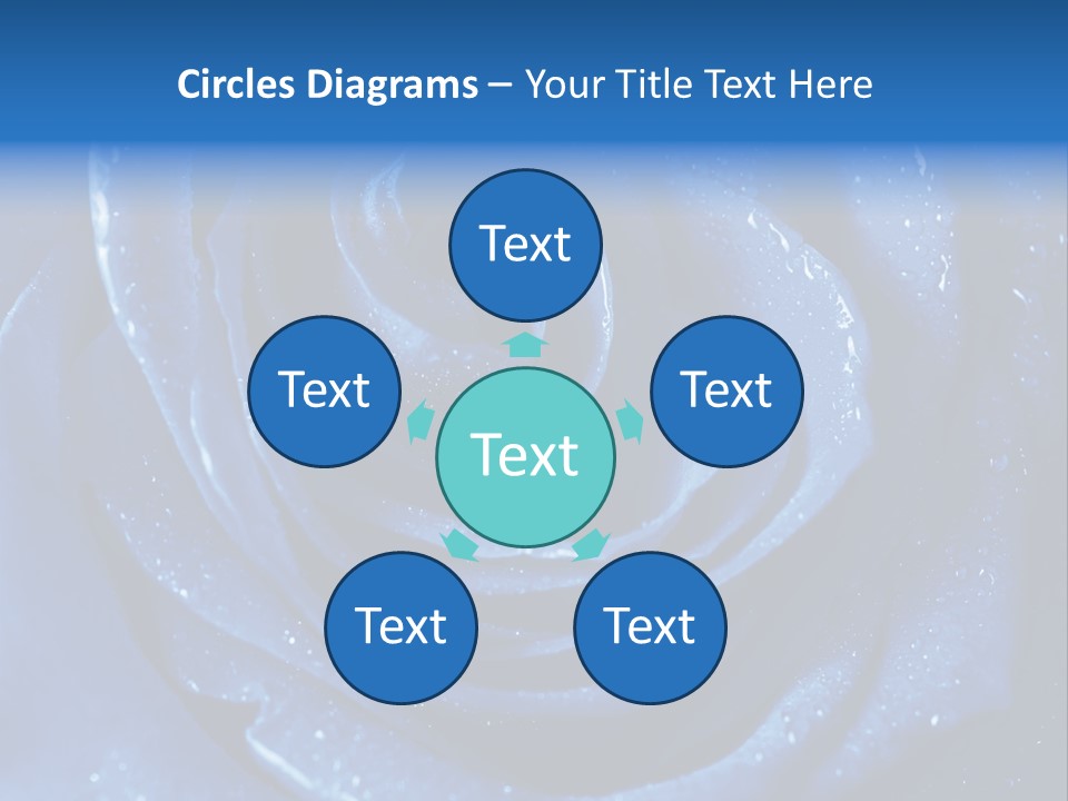 Blue Roses PowerPoint Template