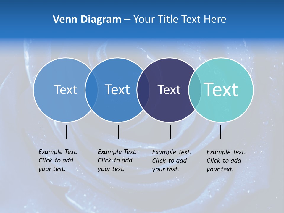 Blue Roses PowerPoint Template