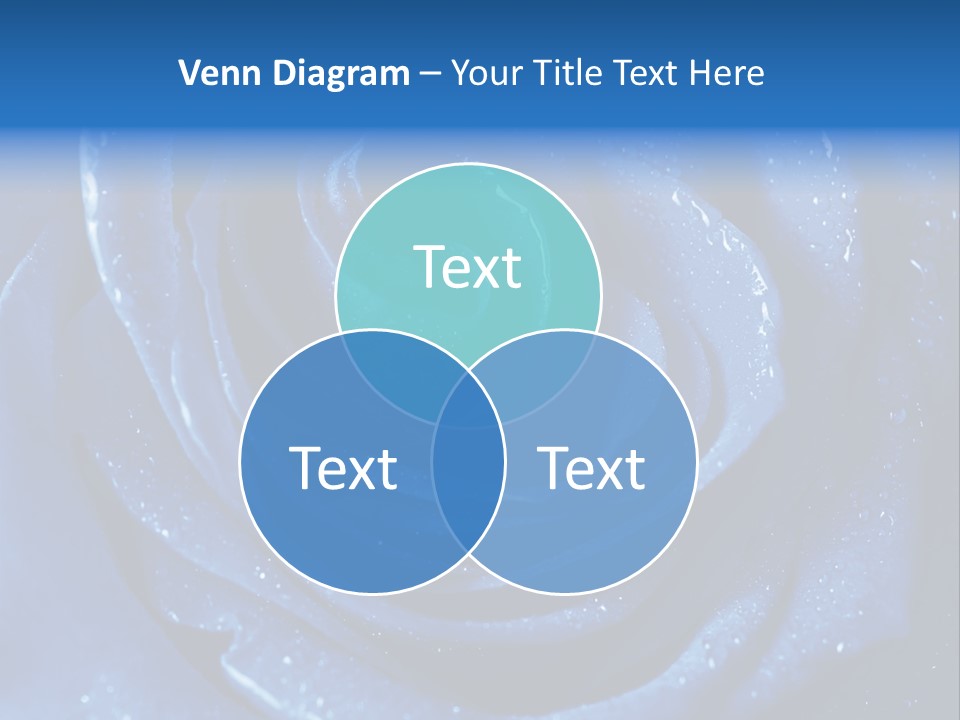 Blue Roses PowerPoint Template