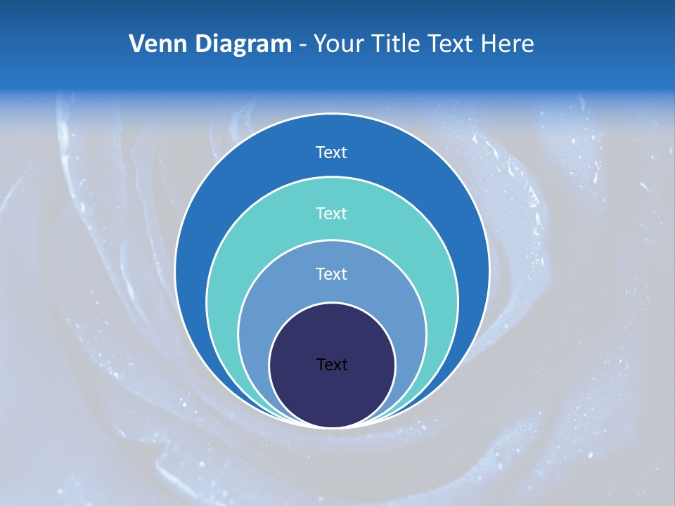 Blue Roses PowerPoint Template