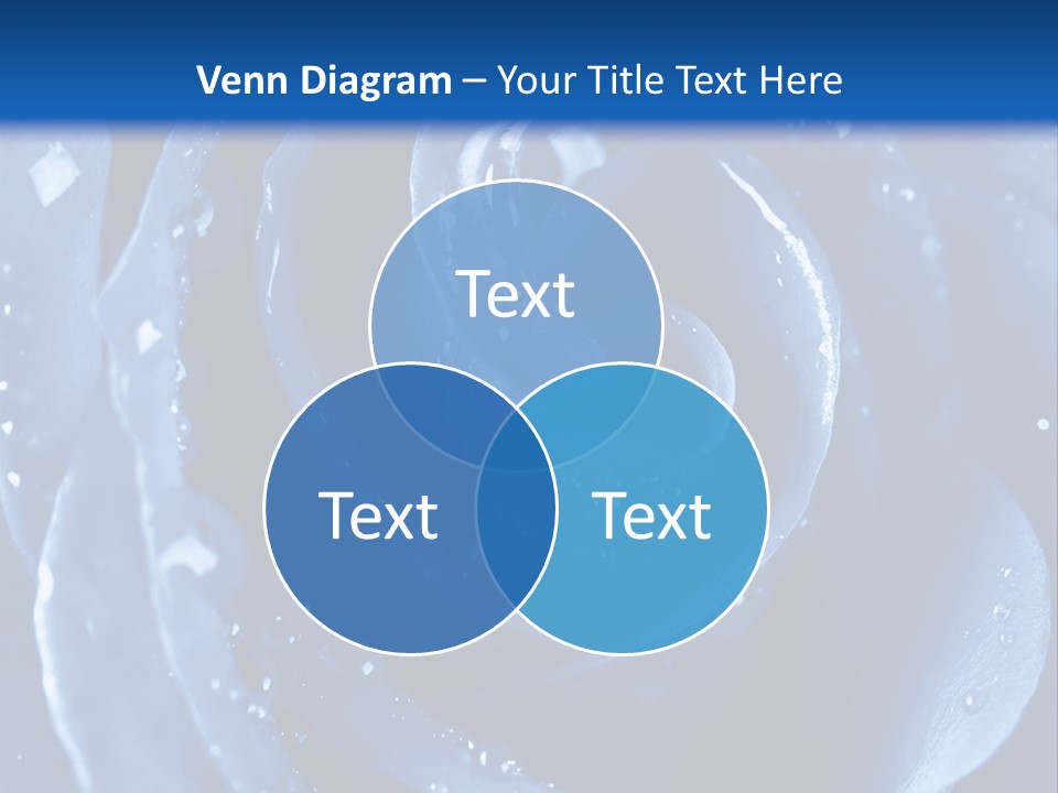 Botanical Blossom Aromatherapy PowerPoint Template