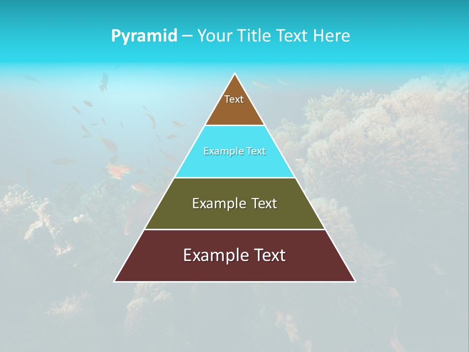 Coral Sun Ocean PowerPoint Template