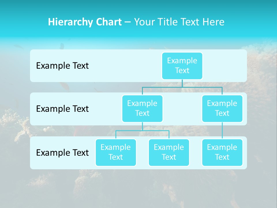 Coral Sun Ocean PowerPoint Template