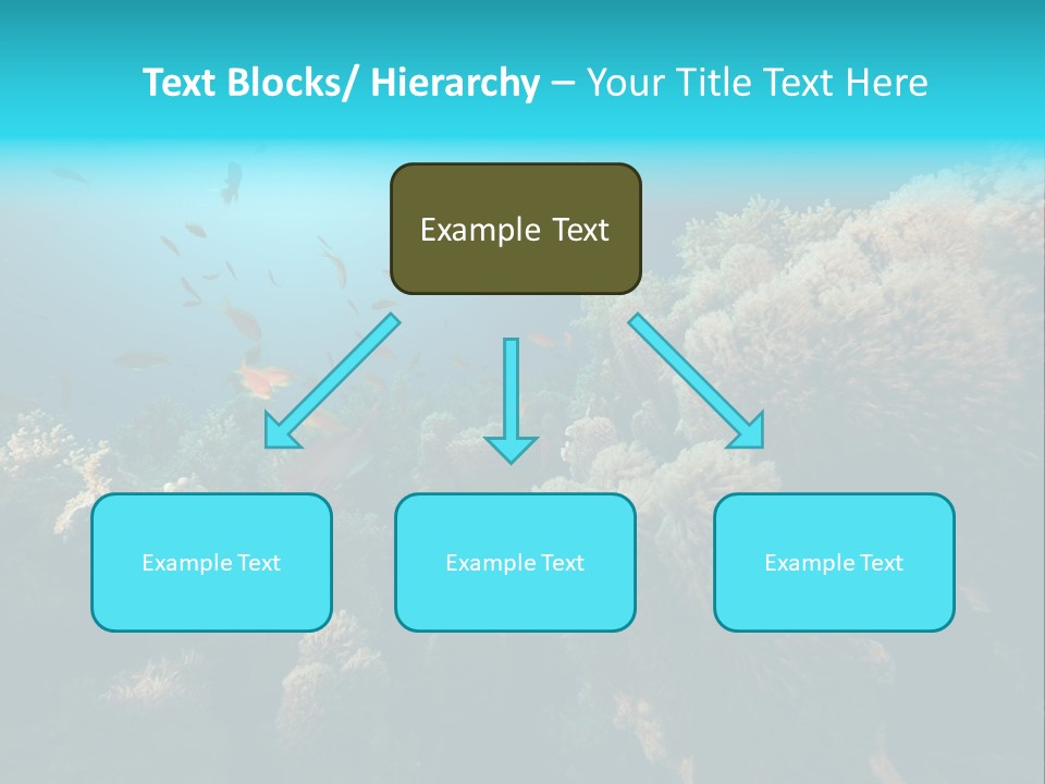Coral Sun Ocean PowerPoint Template