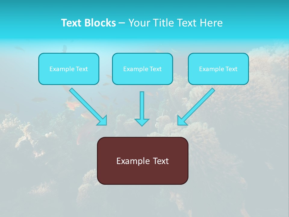 Coral Sun Ocean PowerPoint Template