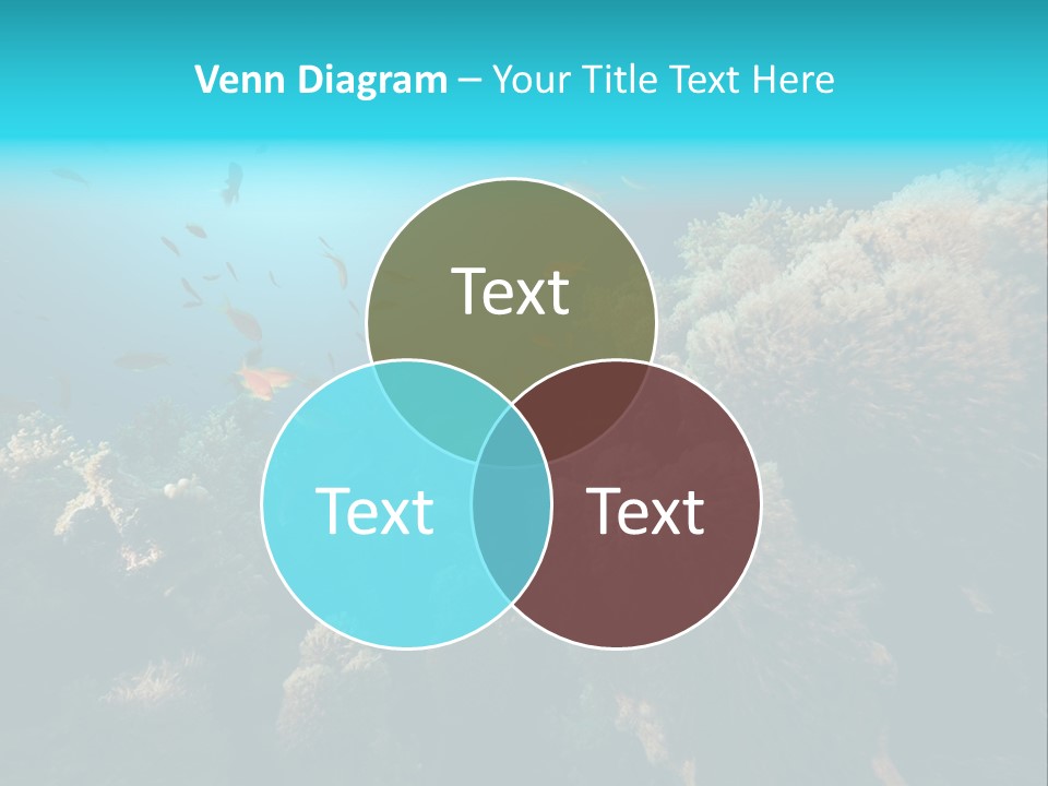 Coral Sun Ocean PowerPoint Template