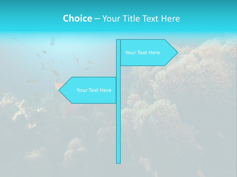 Coral Sun Ocean PowerPoint Template