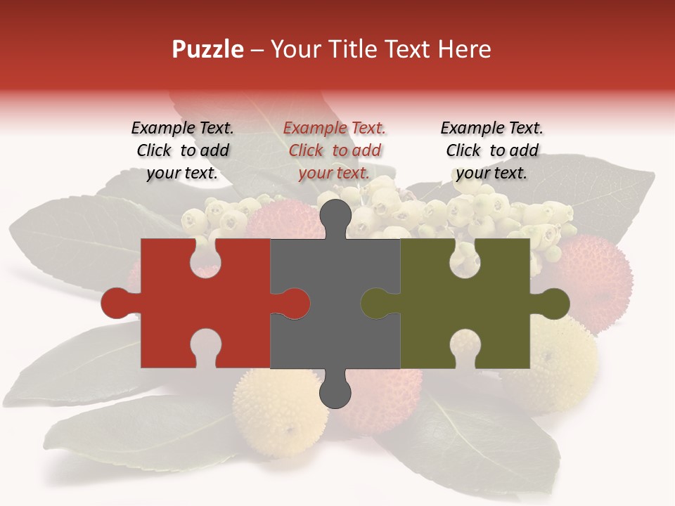 Forest Fruits Isolated Fresh PowerPoint Template