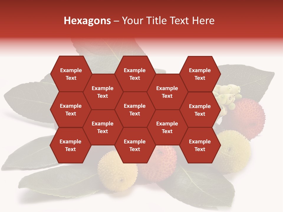 Forest Fruits Isolated Fresh PowerPoint Template