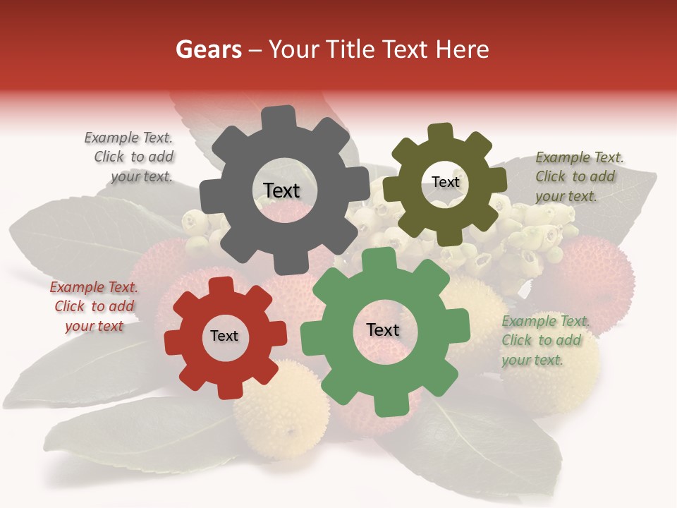 Forest Fruits Isolated Fresh PowerPoint Template