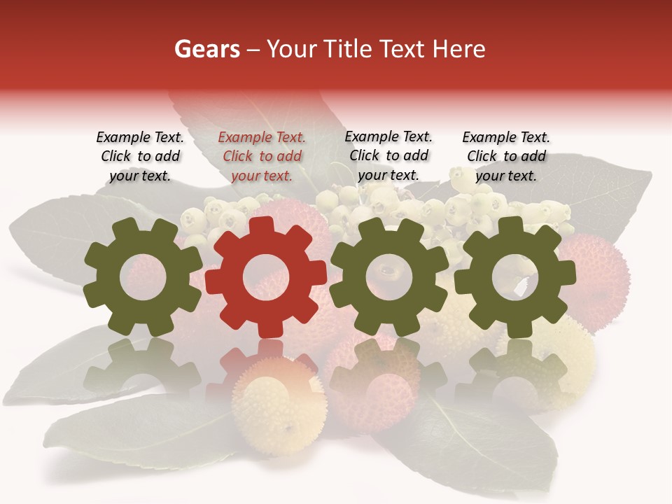 Forest Fruits Isolated Fresh PowerPoint Template