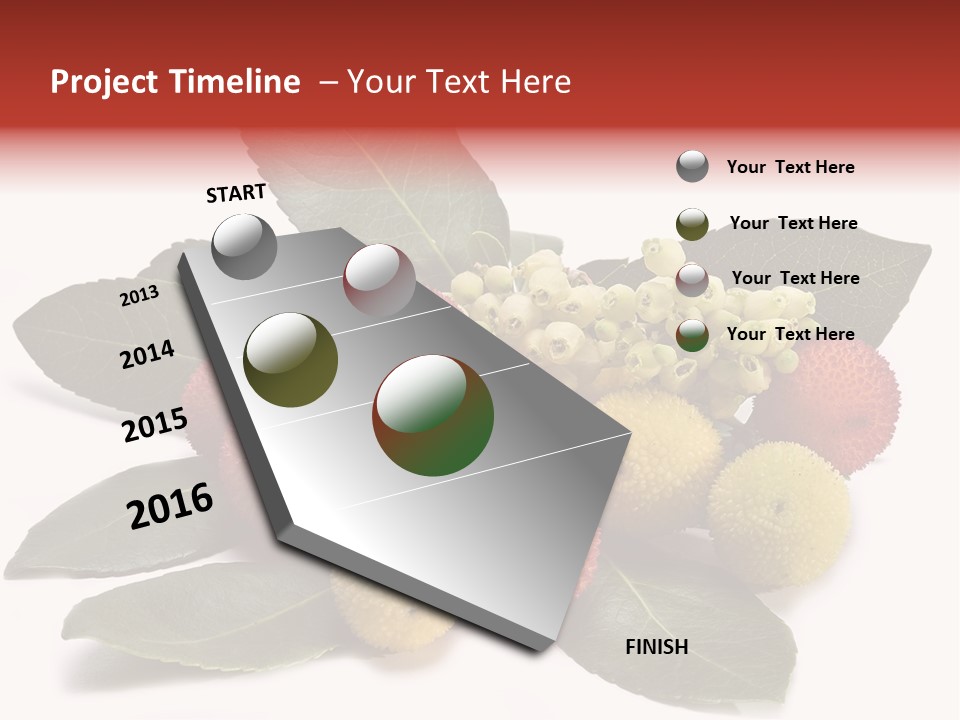 Forest Fruits Isolated Fresh PowerPoint Template