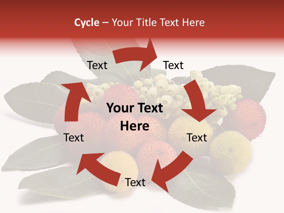 Forest Fruits Isolated Fresh PowerPoint Template