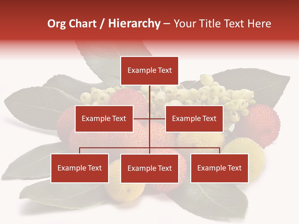 Forest Fruits Isolated Fresh PowerPoint Template