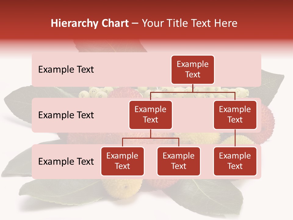Forest Fruits Isolated Fresh PowerPoint Template