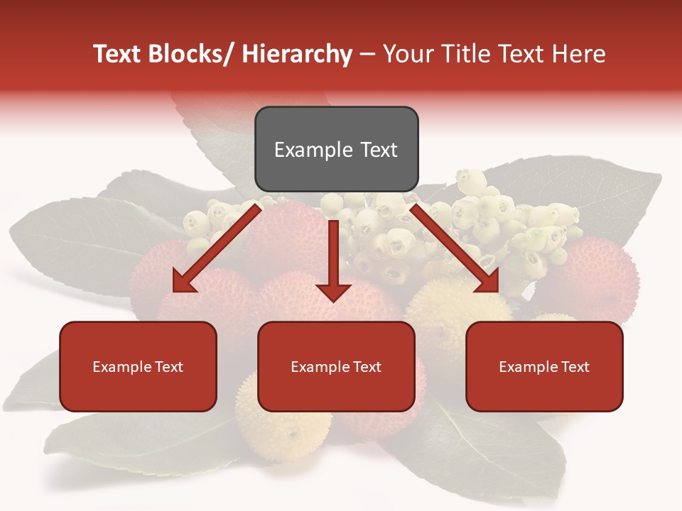 Forest Fruits Isolated Fresh PowerPoint Template