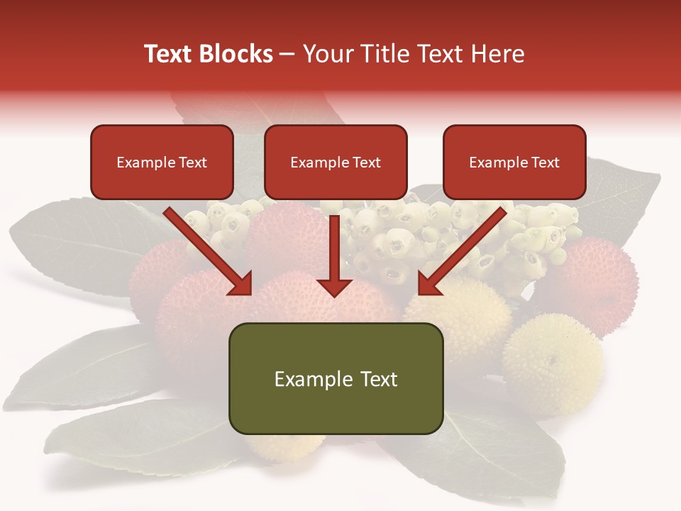 Forest Fruits Isolated Fresh PowerPoint Template