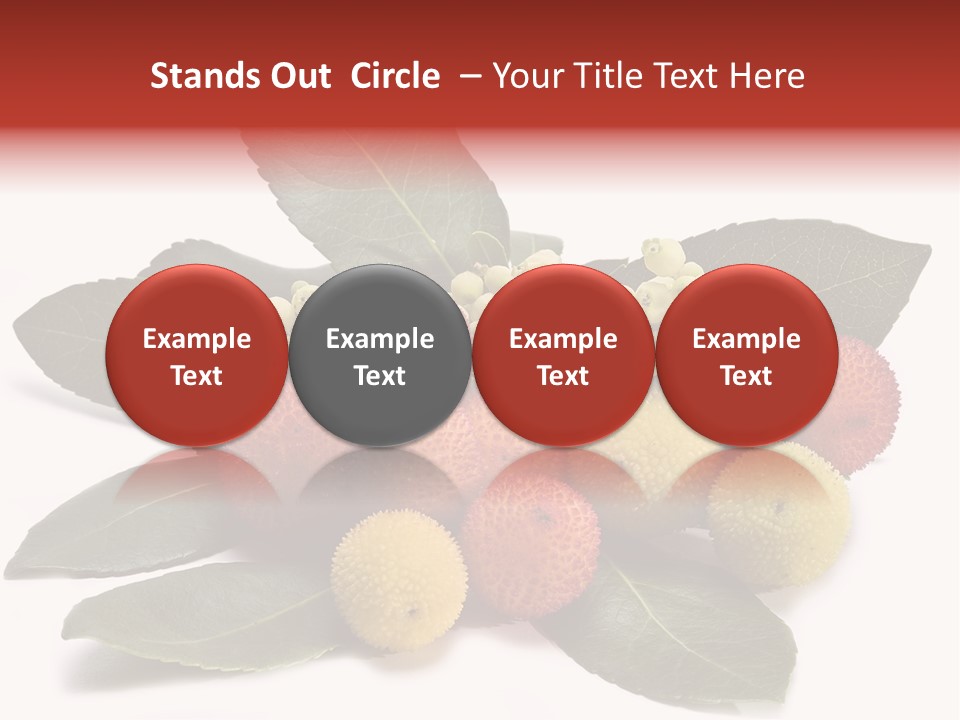 Forest Fruits Isolated Fresh PowerPoint Template