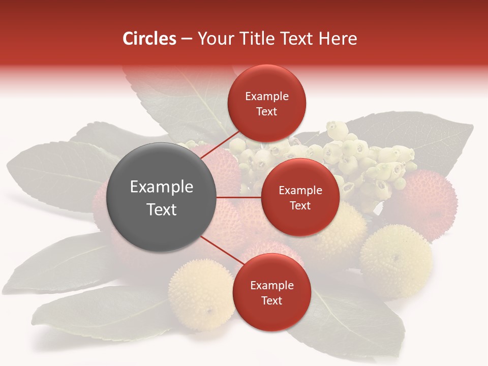 Forest Fruits Isolated Fresh PowerPoint Template