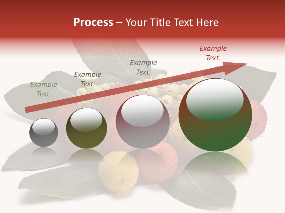 Forest Fruits Isolated Fresh PowerPoint Template