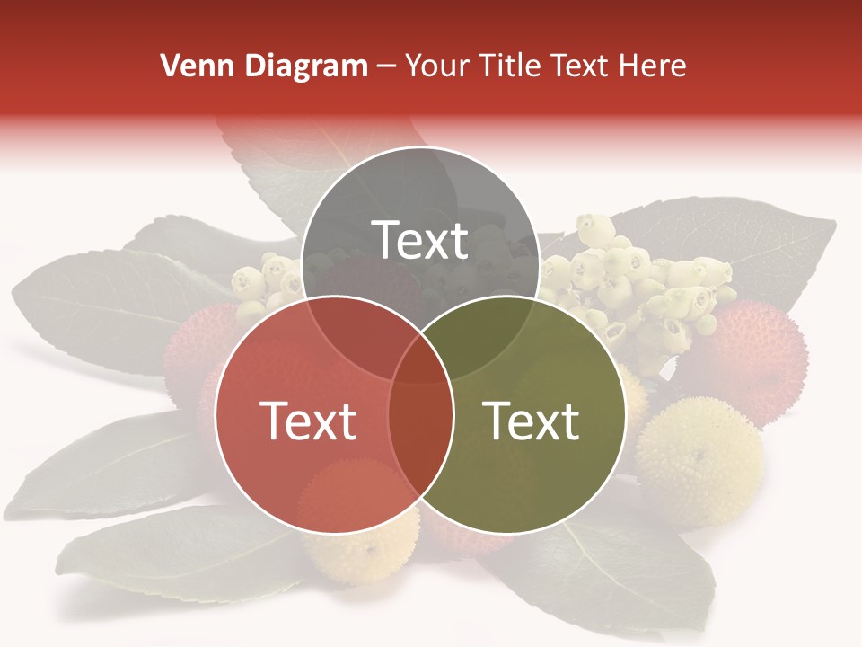 Forest Fruits Isolated Fresh PowerPoint Template