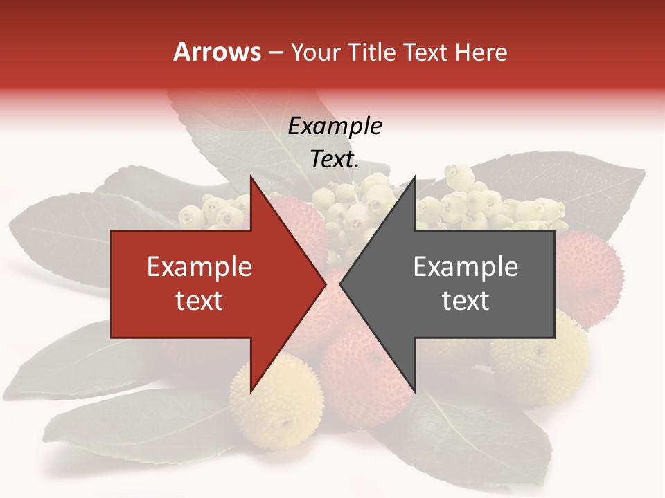 Forest Fruits Isolated Fresh PowerPoint Template
