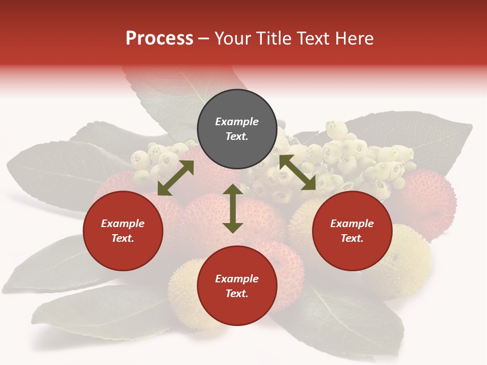 Forest Fruits Isolated Fresh PowerPoint Template