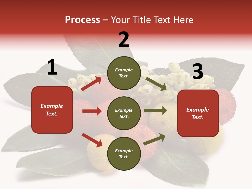 Forest Fruits Isolated Fresh PowerPoint Template