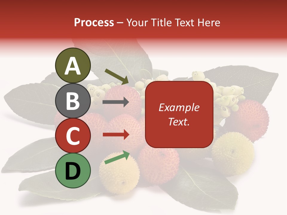 Forest Fruits Isolated Fresh PowerPoint Template