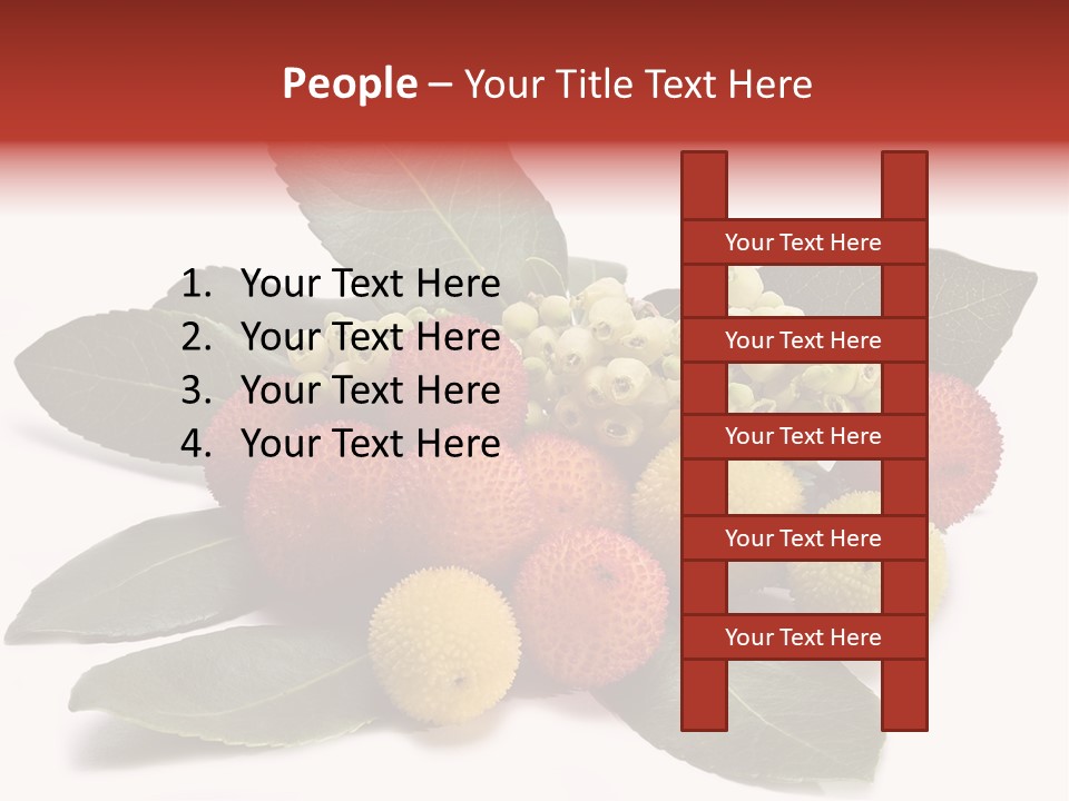 Forest Fruits Isolated Fresh PowerPoint Template
