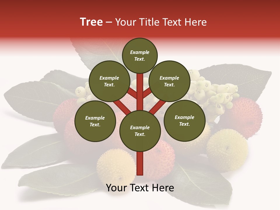 Forest Fruits Isolated Fresh PowerPoint Template
