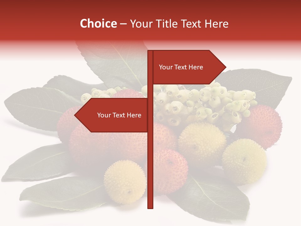 Forest Fruits Isolated Fresh PowerPoint Template