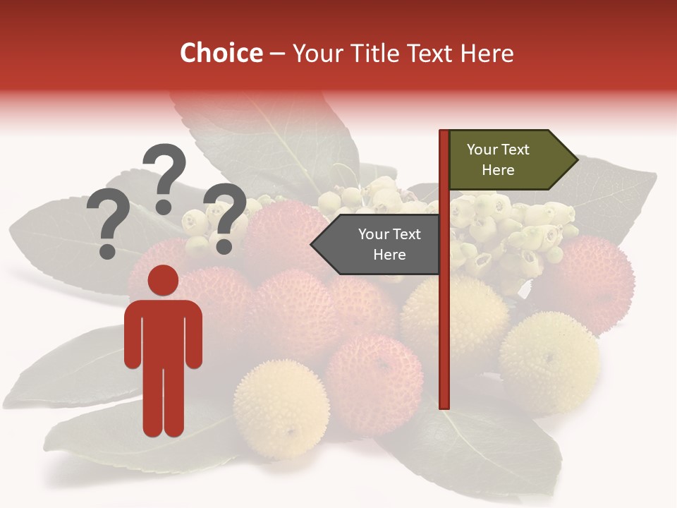 Forest Fruits Isolated Fresh PowerPoint Template