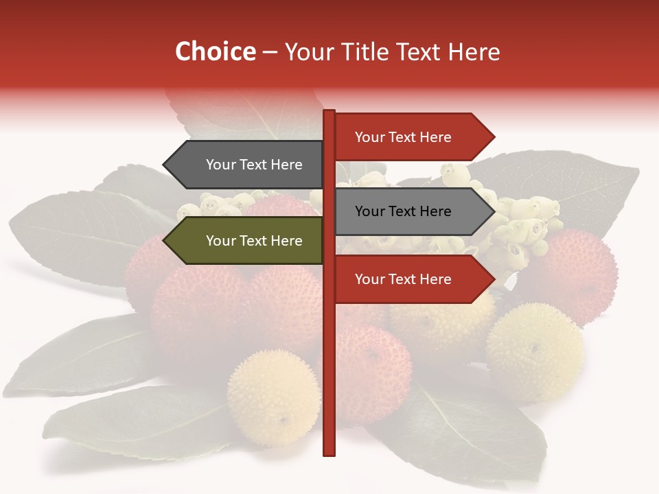 Forest Fruits Isolated Fresh PowerPoint Template